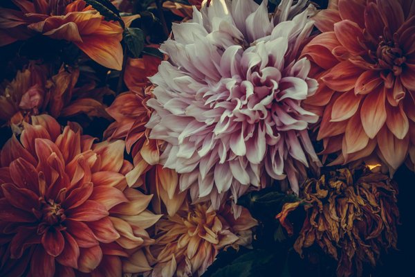 Ma prime rénov simulation : estimez vos aides pour 2024