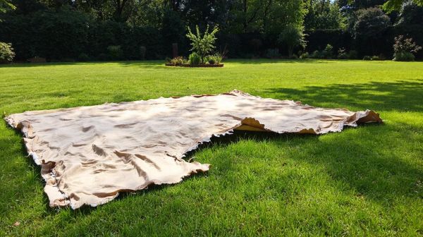 Les meilleures recommandations pour une bâche brise vue jardin